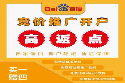 SEM搜索引擎优化策略解析与应用案例